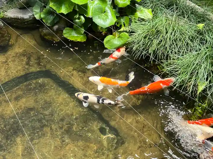 興臨院(京都府)