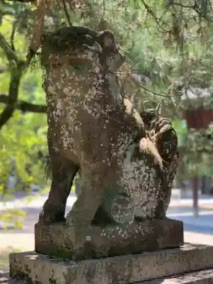 御霊神社(上御霊神社)の狛犬