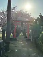 刀尾神社の{uncategorized: "未分類", other: "その他", undefined: "問題あり", building: "その他建物", grave: "お墓", sacred_gate: "鳥居", guardian: "狛犬", statue: "像", buddha: "仏像", history: "歴史", nature: "自然", garden: "庭園", animal: "動物", pagoda: "塔", temizu: "手水舎", mountain_gate: "山門・神門", sanctuary: "本殿・本堂", subordinate: "末社・摂社", art: "芸術", scenery: "景色", jizo: "地蔵", ema: "絵馬", goshuin: "御朱印", omikuji: "おみくじ", items: "授与品その他", amulet: "お守り", goshuincho: "御朱印帳", eats: "食事", festival: "お祭り", votive_dance: "神楽", shichigosan: "七五三参", wedding: "結婚式", experience: "体験その他", initially: "初詣", around: "周辺", anti_infection: "感染症対策"}