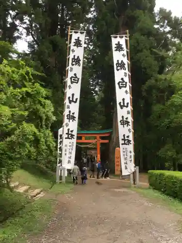 白山神社の鳥居