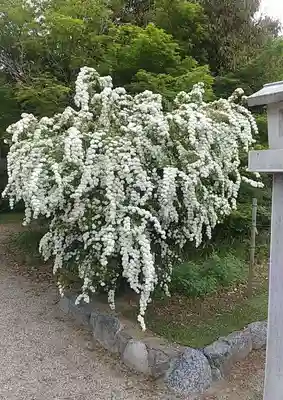 比佐豆知神社(三重県)