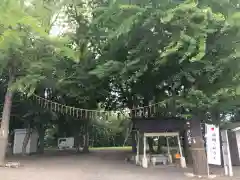 星置神社の自然