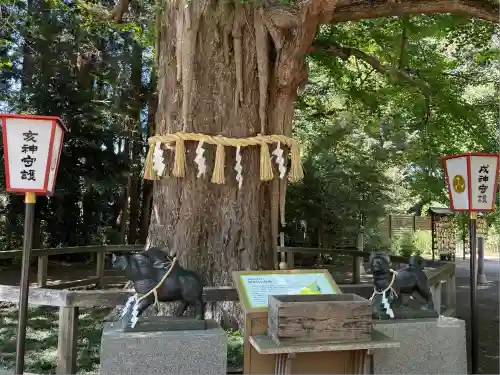 水戸八幡宮(茨城県)