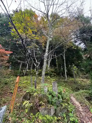 戸隠神社火之御子社(長野県)