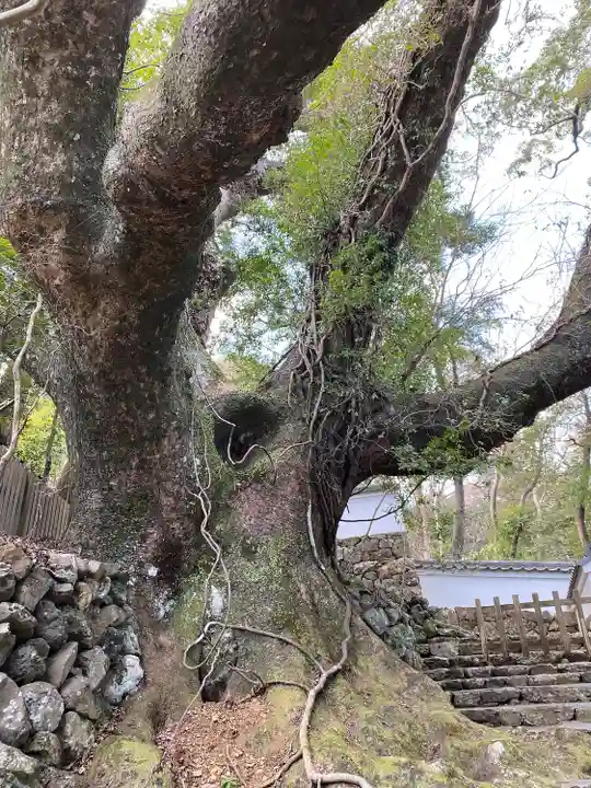 大水神社(皇大神宮摂社)・川相神社(皇大神宮末社)・熊淵神社(皇大神宮末社)(三重県)