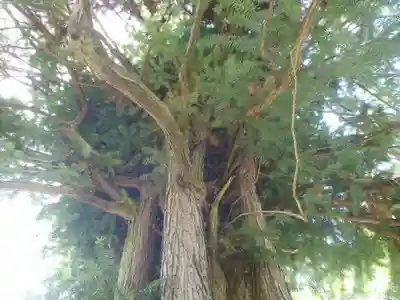 芳友寺(愛知県)