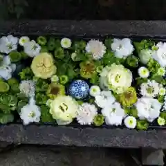 行田八幡神社の手水