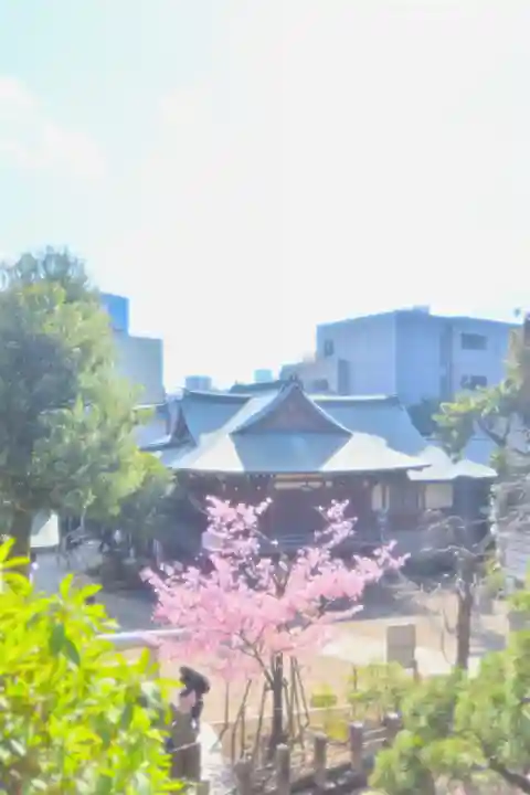 鳩森八幡神社の本殿・本堂