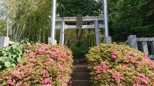 勝田杉山神社の鳥居