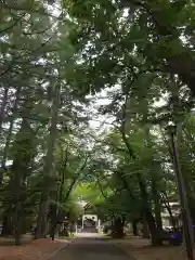 大谷地神社の景色