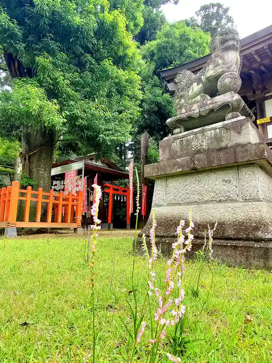 鏡石鹿嶋神社 *安産・開運・勝利の神さま*の自然
