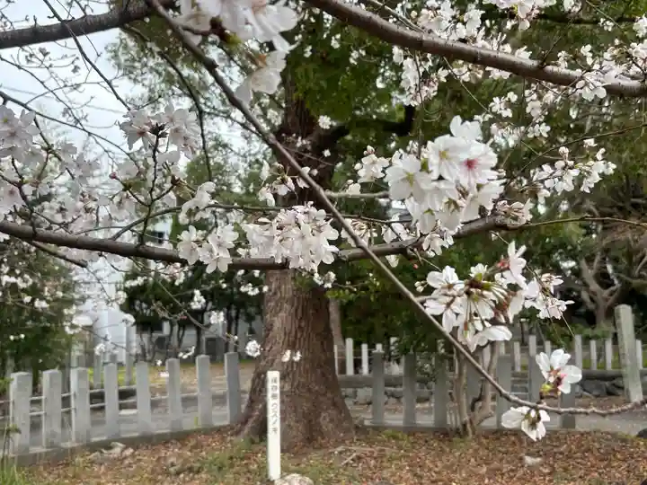 七所神社(愛知県)