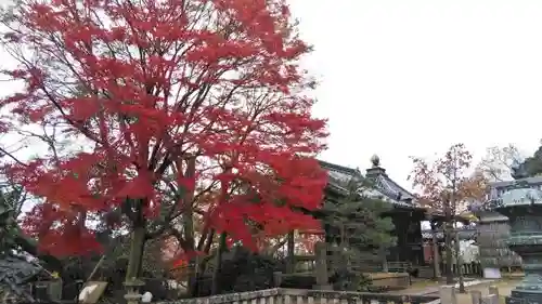 観音寺（山崎聖天）の庭園