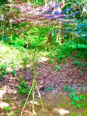 伊保田神社(茨城県)