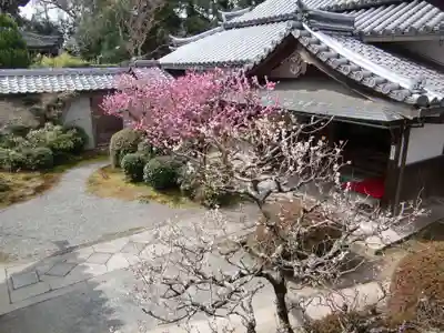 穴太寺(京都府)