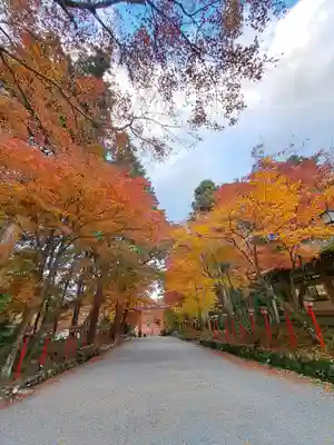 日吉大社(滋賀県)