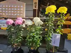 賀茂別雷神社（上賀茂神社）(京都府)