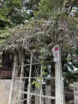 大嶋神社奥津嶋神社(滋賀県)