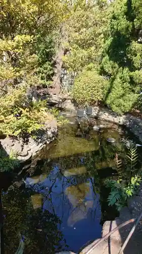 天祖諏訪神社の庭園