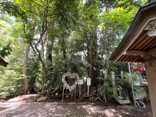 座間神社(神奈川県)