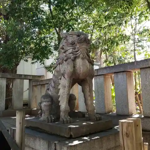 渋谷氷川神社の狛犬