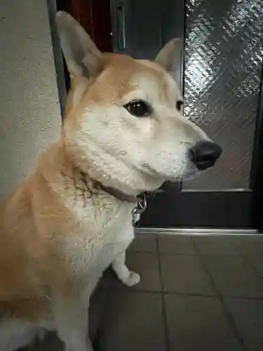 笠䅣稲荷神社(神奈川県)