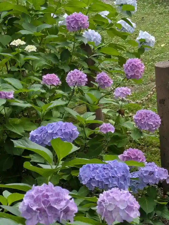 花巻神社(岩手県)