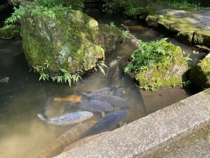 石山寺(滋賀県)