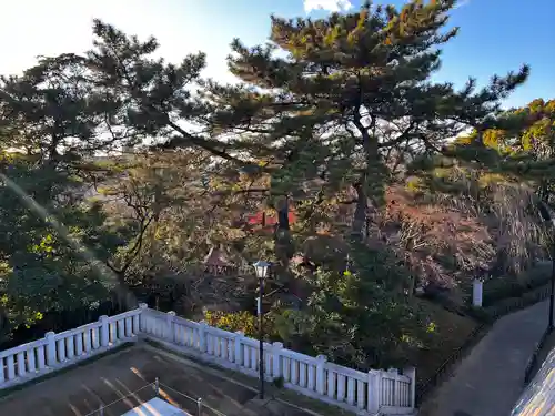 稲毛浅間神社(千葉県)