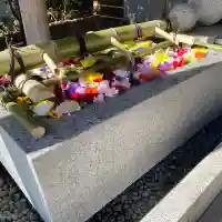 東郷神社の{uncategorized: "未分類", other: "その他", undefined: "問題あり", building: "その他建物", grave: "お墓", sacred_gate: "鳥居", guardian: "狛犬", statue: "像", buddha: "仏像", history: "歴史", nature: "自然", garden: "庭園", animal: "動物", pagoda: "塔", temizu: "手水舎", mountain_gate: "山門・神門", sanctuary: "本殿・本堂", subordinate: "末社・摂社", art: "芸術", scenery: "景色", jizo: "地蔵", ema: "絵馬", goshuin: "御朱印", omikuji: "おみくじ", items: "授与品その他", amulet: "お守り", goshuincho: "御朱印帳", eats: "食事", festival: "お祭り", votive_dance: "神楽", shichigosan: "七五三参", wedding: "結婚式", experience: "体験その他", initially: "初詣", around: "周辺", anti_infection: "感染症対策"}