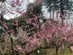 岩津天満宮(愛知県)