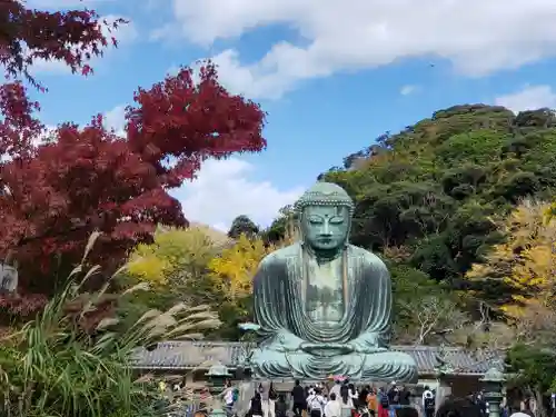 高徳院の仏像