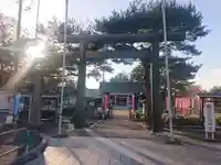 櫻岡大神宮の鳥居