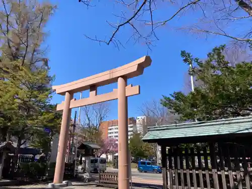 琴似神社の鳥居