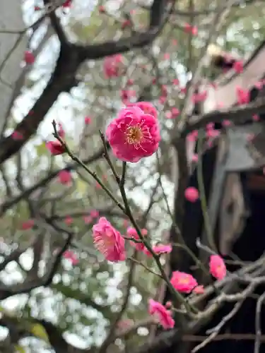 牛天神北野神社(東京都)