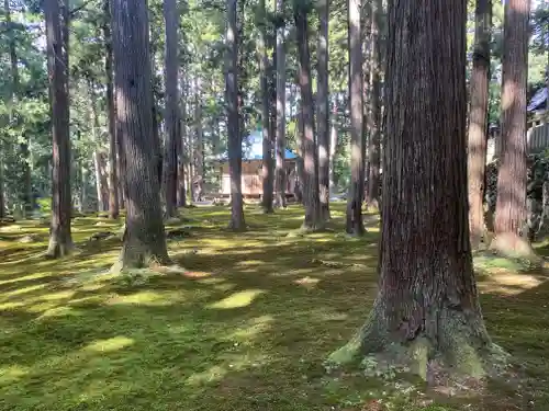 平泉寺白山神社(福井県)