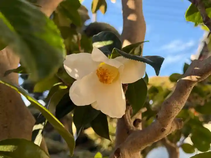 西方山極楽寺(岐阜県)