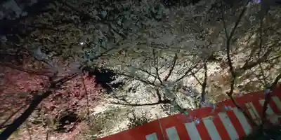 平野神社(京都府)