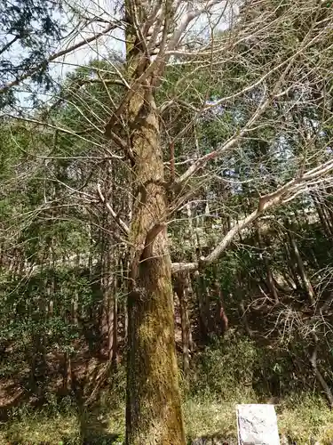 頼政神社の自然