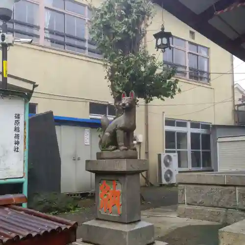 篠原稲荷神社の狛犬