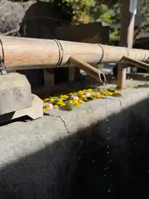 賀茂別雷神社（上賀茂神社）(京都府)