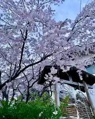 滑川神社 - 仕事と子どもの守り神の周辺