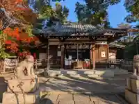 安居神社の本殿・本堂