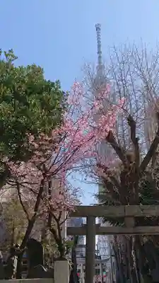 牛嶋神社のその他建物