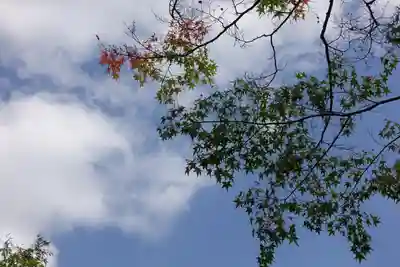 護法善神社の自然