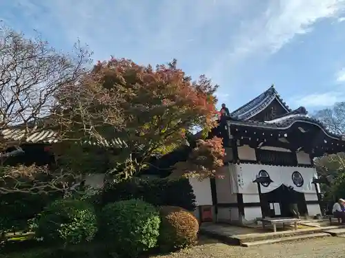 養源院(京都府)