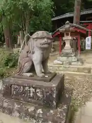 小幡八幡宮の狛犬