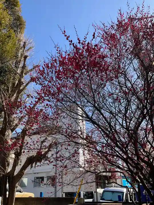 渋谷氷川神社(東京都)