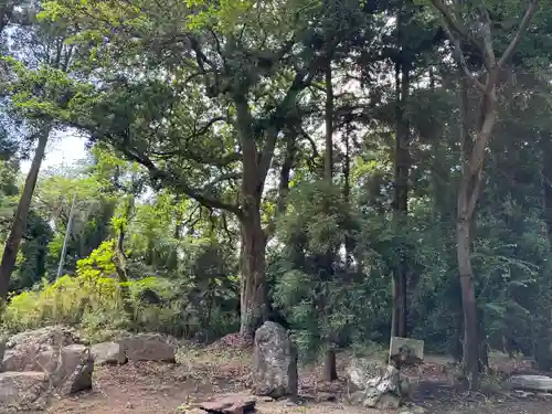 蛟蝄神社奥の宮(茨城県)