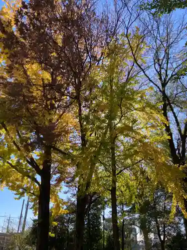 北澤八幡神社(東京都)